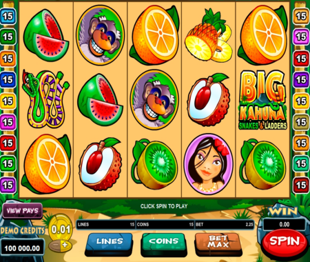 Big Kahuna Snakes & Ladders slot