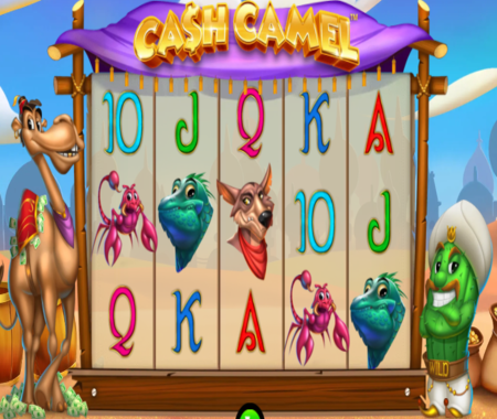 slot Cash Camel