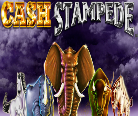 Cash Stampede