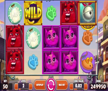 Función especial de Copy Cats