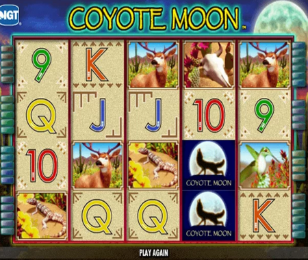 Coyote Moon tragamonedas