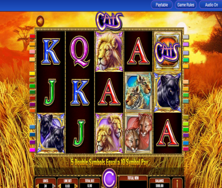 slot Gatos