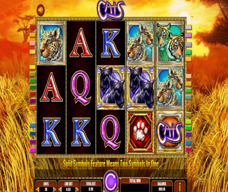 símbolos especiales de Cats