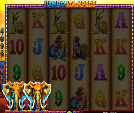 función especial Jumbo Stampede