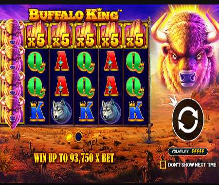 buffalo king 1
