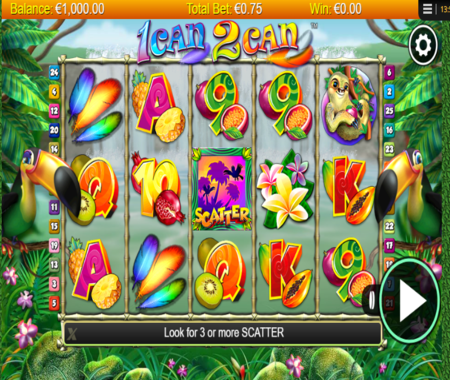 slot de 1 Can 2 Can