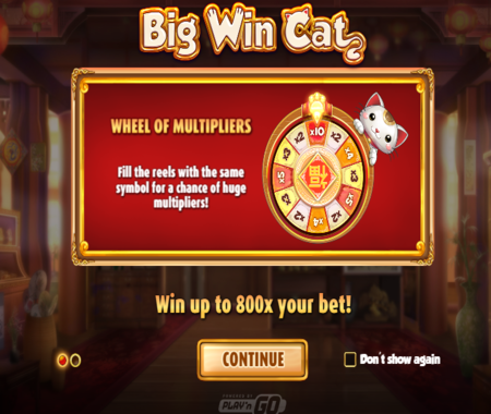 slot Big Win Cat
